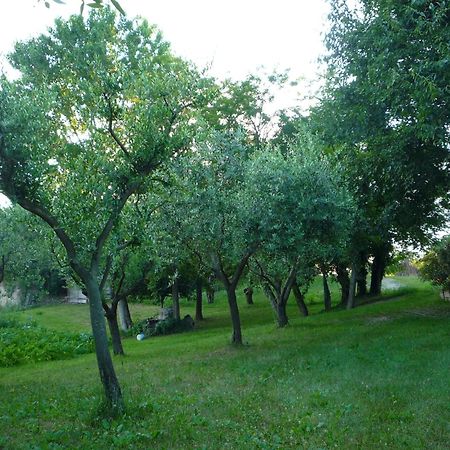 Agriturismo Lupo Bianco Monzambano Exterior foto